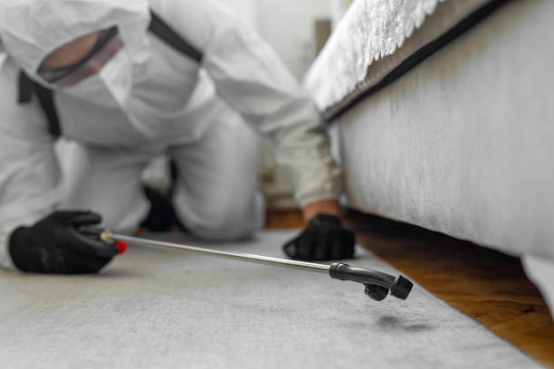 Professional Bed Bug Control technician working in Muskegon County County, MI